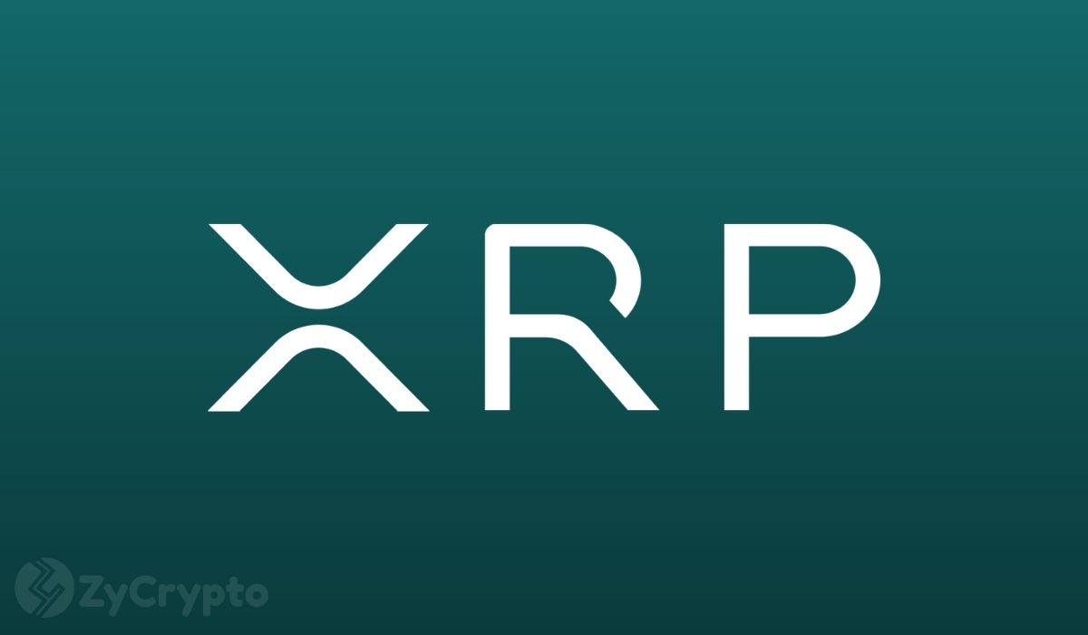 XRP前景两极分化：分析师预警崩盘风险或迎30美元目标