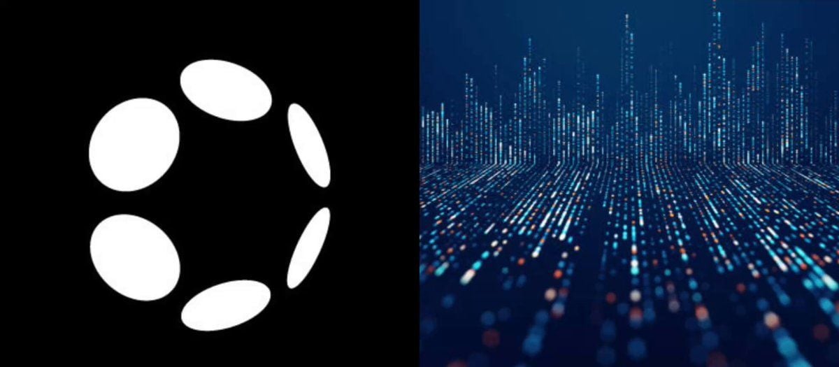 Polkadot Devnet 推动网络活跃度提升
