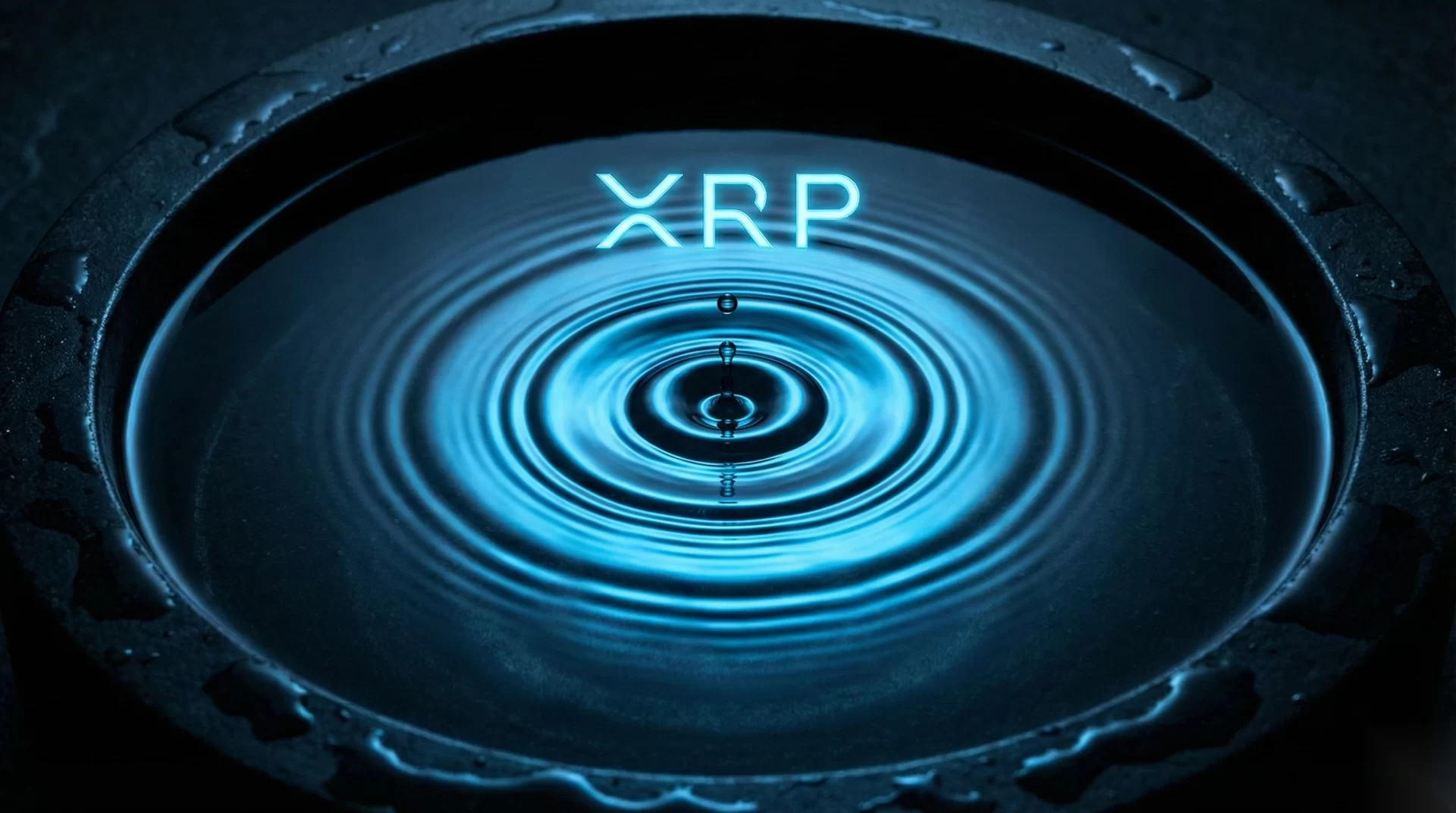 链上活动与机构动向激增，ProShares申请XRP ETF