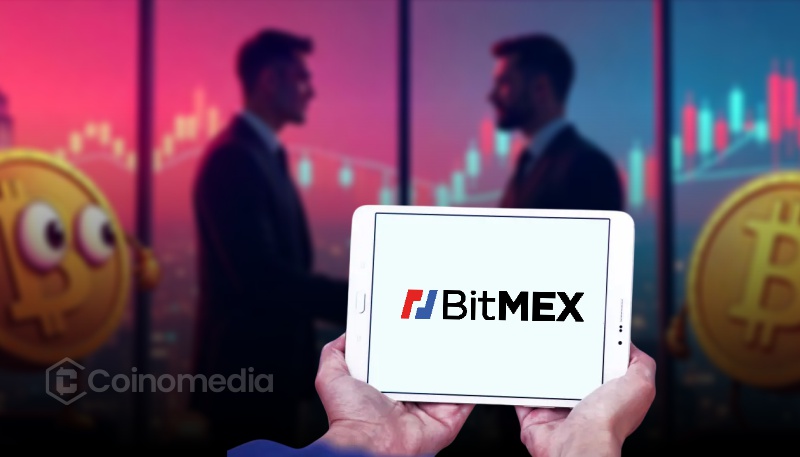 BitMEX停止交易所运营 用户仍可提取资金