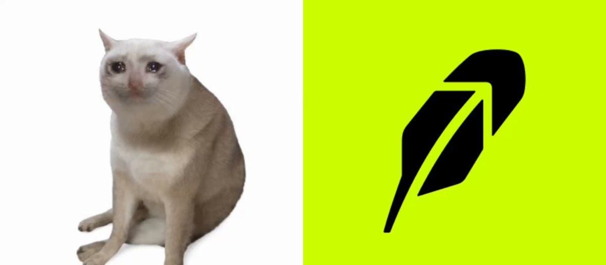 Cashcat在Robinhood链热潮中再度走红