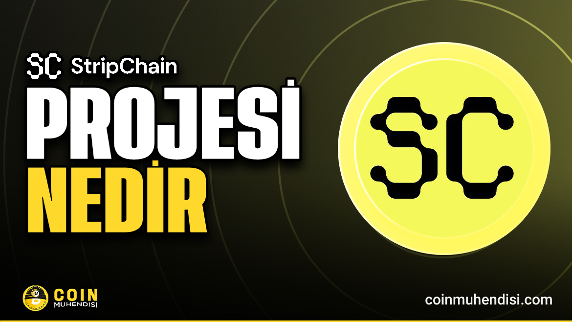 StripChain (STRIP) 是什么？