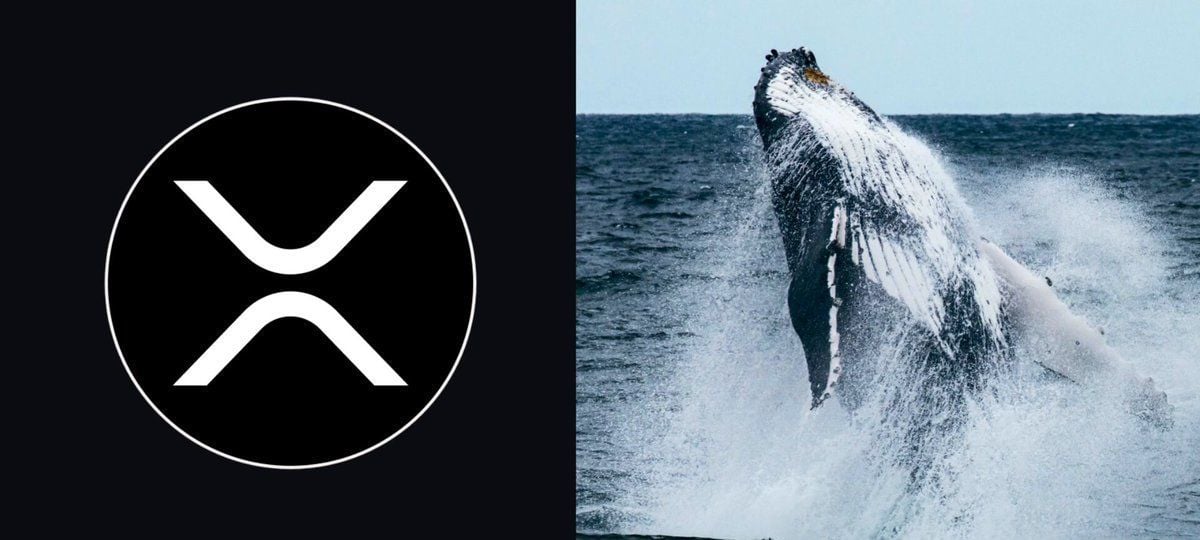 XRP巨鲸疯狂扫货，价格飙升