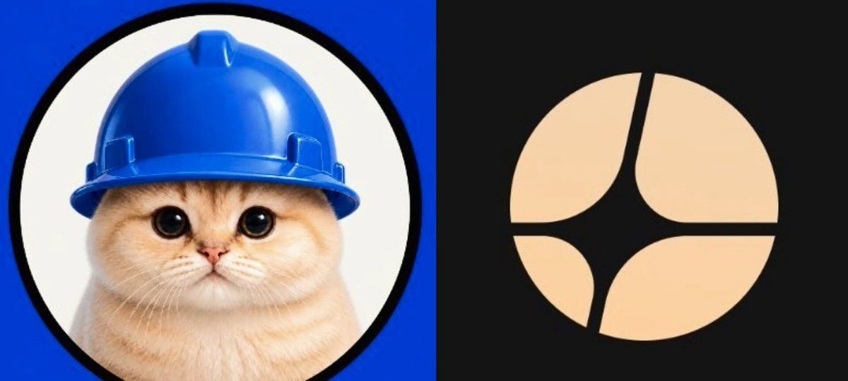 Basecat 因 Aster 推出 3 倍永续合约而飙升